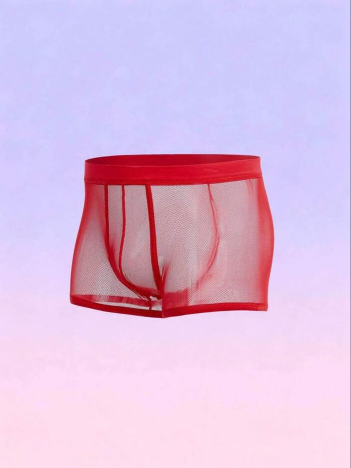 FANDY Men's Mesh Sheer Solid Color Briefs Underwear